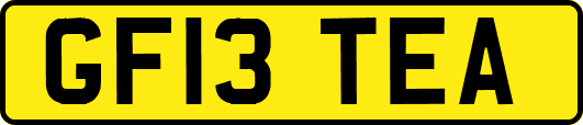 GF13TEA