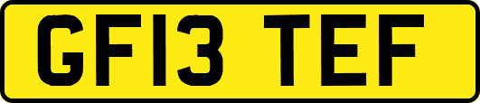 GF13TEF