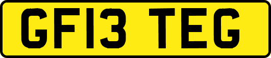GF13TEG