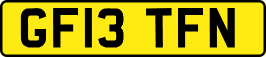 GF13TFN