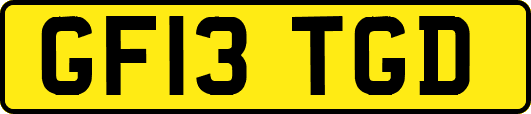 GF13TGD