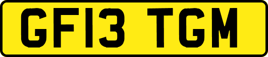 GF13TGM