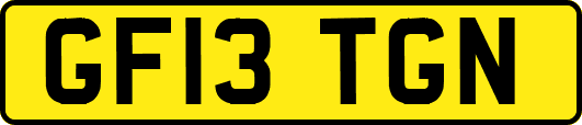 GF13TGN