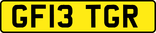 GF13TGR