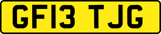 GF13TJG