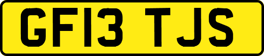 GF13TJS