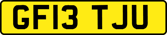 GF13TJU
