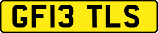 GF13TLS