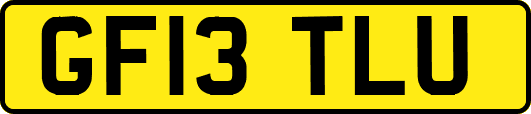 GF13TLU