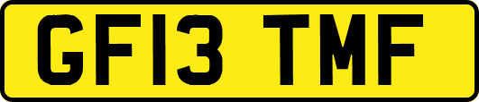 GF13TMF