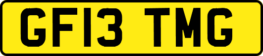 GF13TMG