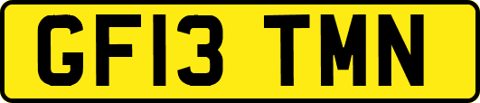 GF13TMN