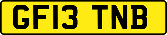 GF13TNB
