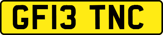 GF13TNC