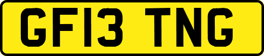 GF13TNG