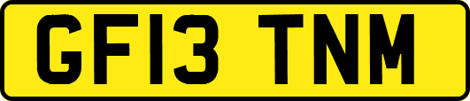GF13TNM