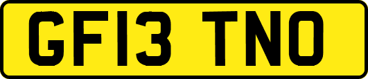 GF13TNO