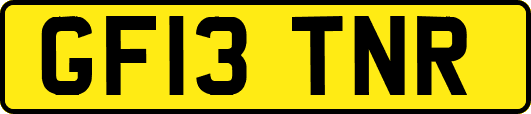 GF13TNR