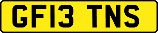 GF13TNS