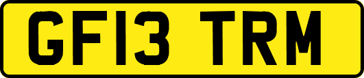 GF13TRM