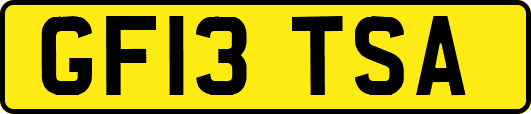 GF13TSA