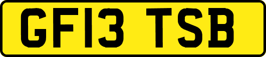 GF13TSB