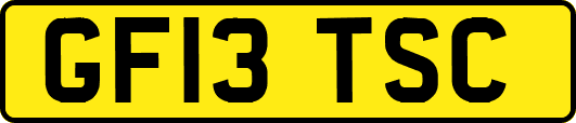 GF13TSC