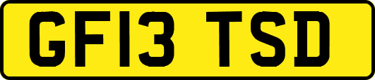 GF13TSD