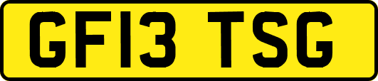 GF13TSG