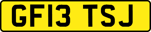 GF13TSJ