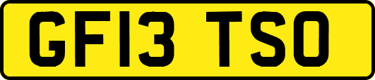 GF13TSO