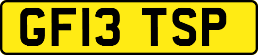 GF13TSP