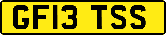 GF13TSS