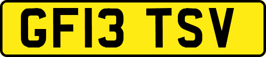 GF13TSV