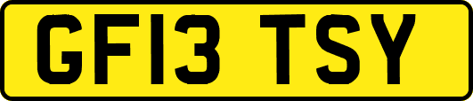 GF13TSY