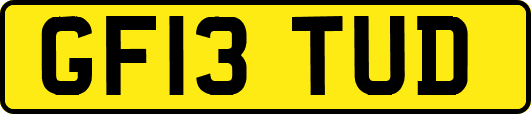 GF13TUD