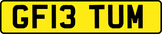 GF13TUM