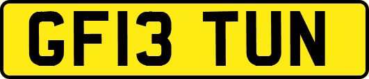 GF13TUN