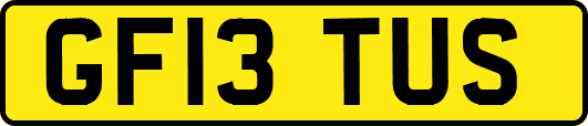 GF13TUS
