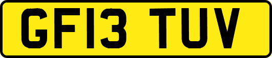 GF13TUV