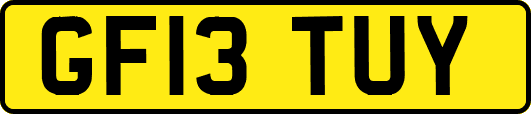 GF13TUY