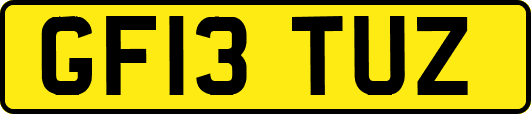 GF13TUZ