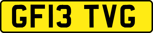 GF13TVG