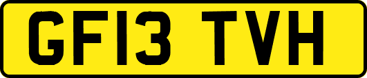 GF13TVH