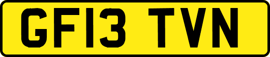 GF13TVN