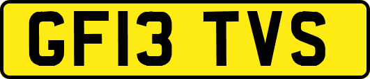 GF13TVS