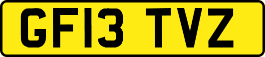 GF13TVZ