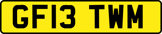 GF13TWM
