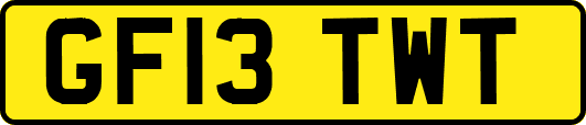 GF13TWT