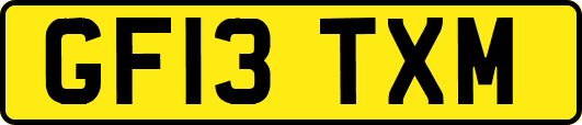 GF13TXM